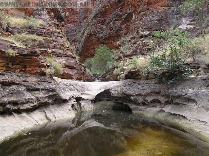 678x501 pixels (259K)